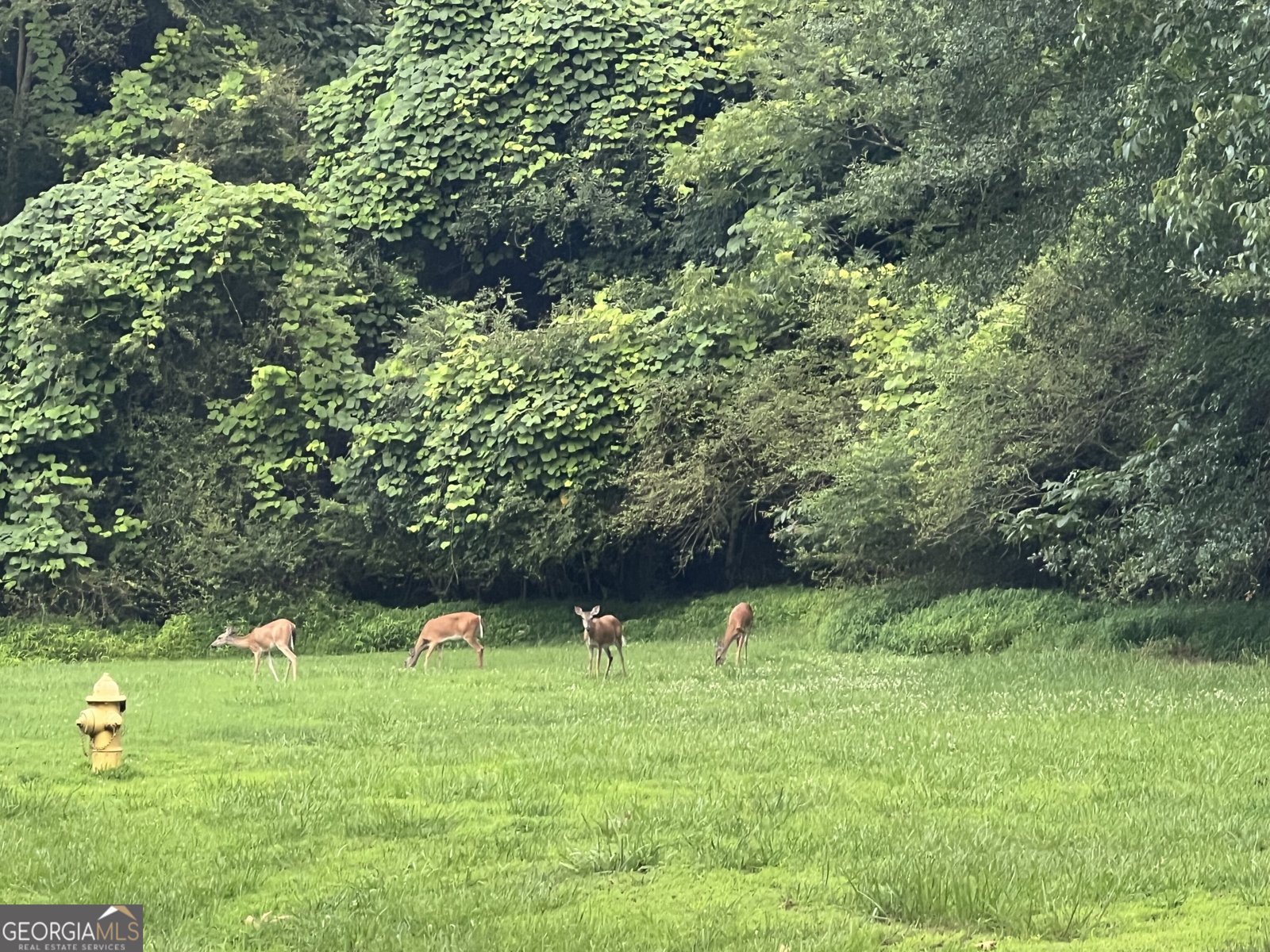 951 Canter Way Jefferson - Photo 91