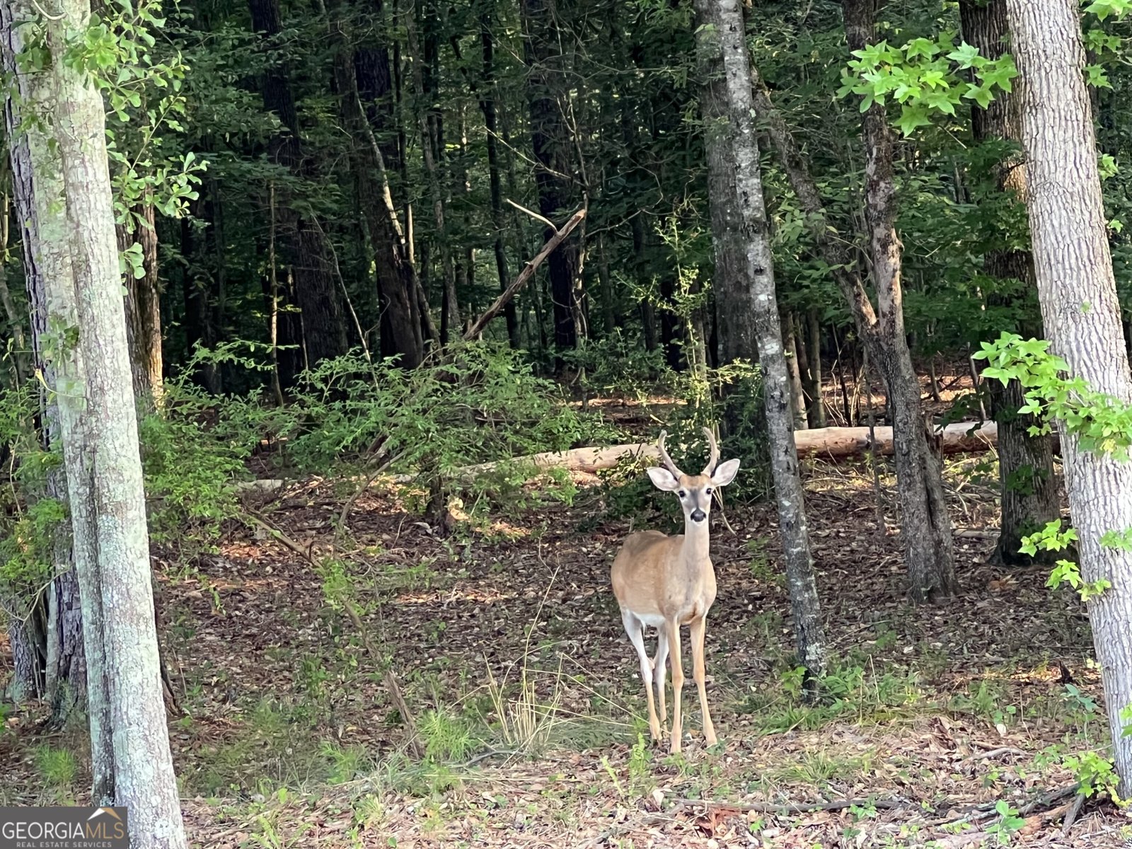 951 Canter Way Jefferson - Photo 92