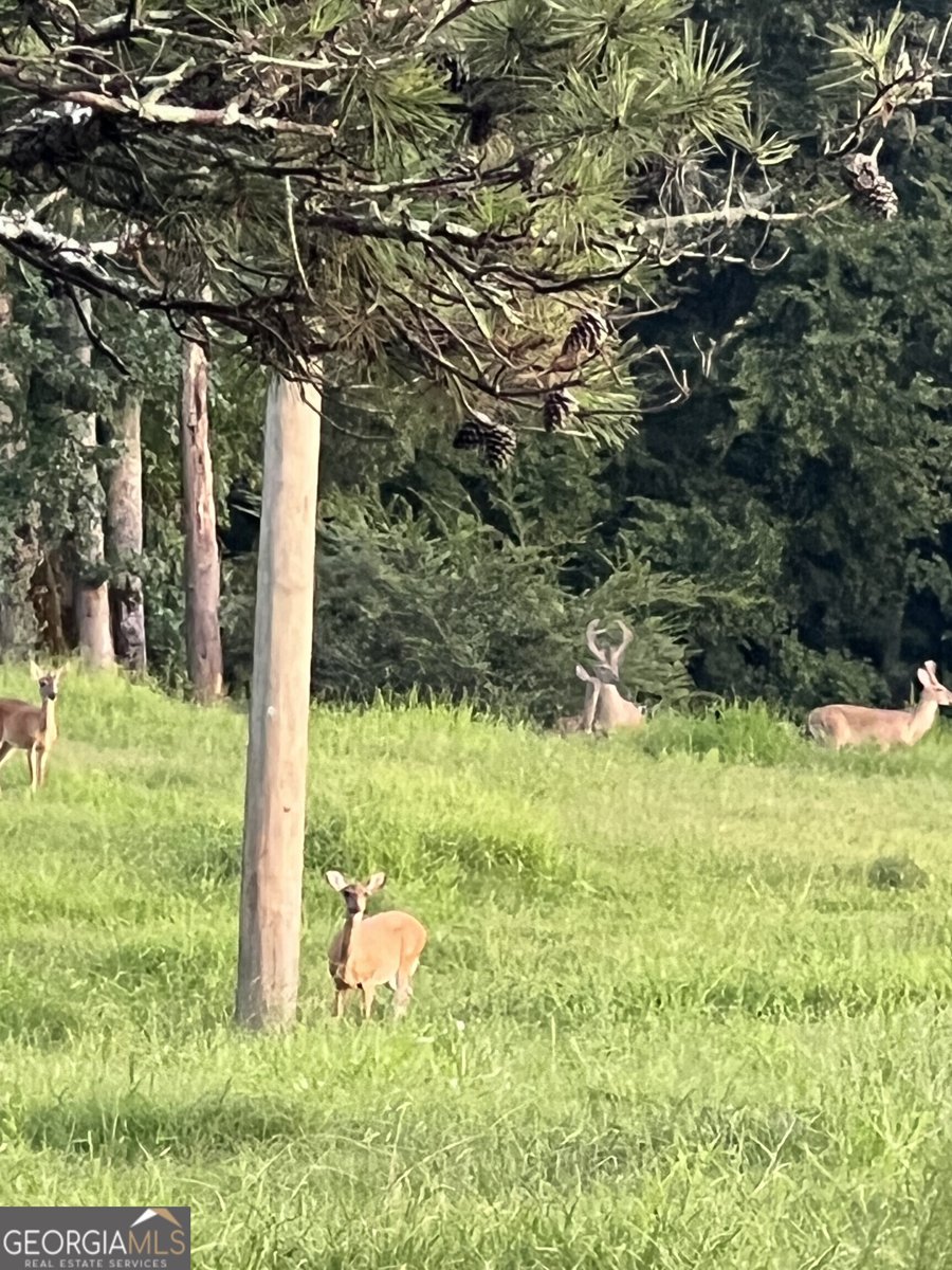 951 Canter Way Jefferson - Photo 93