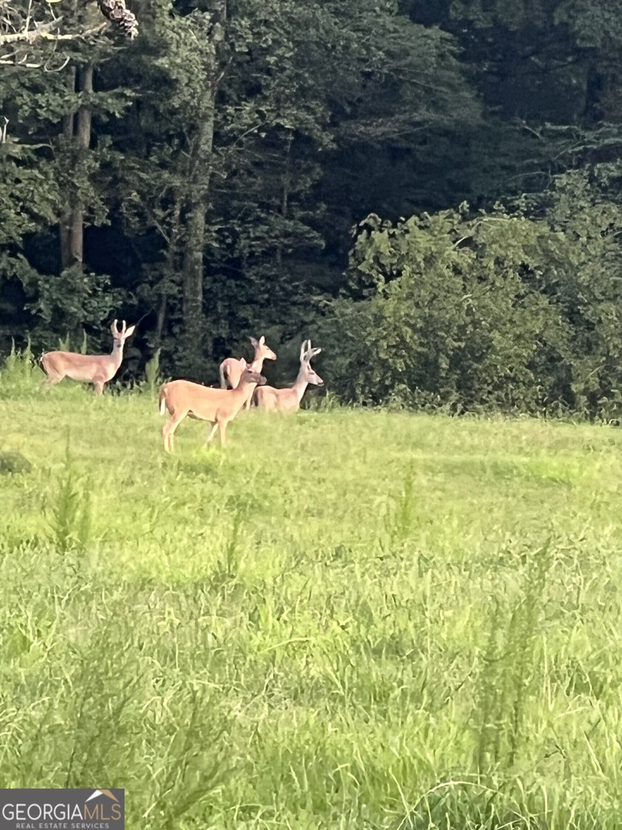 951 Canter Way Jefferson - Photo 94