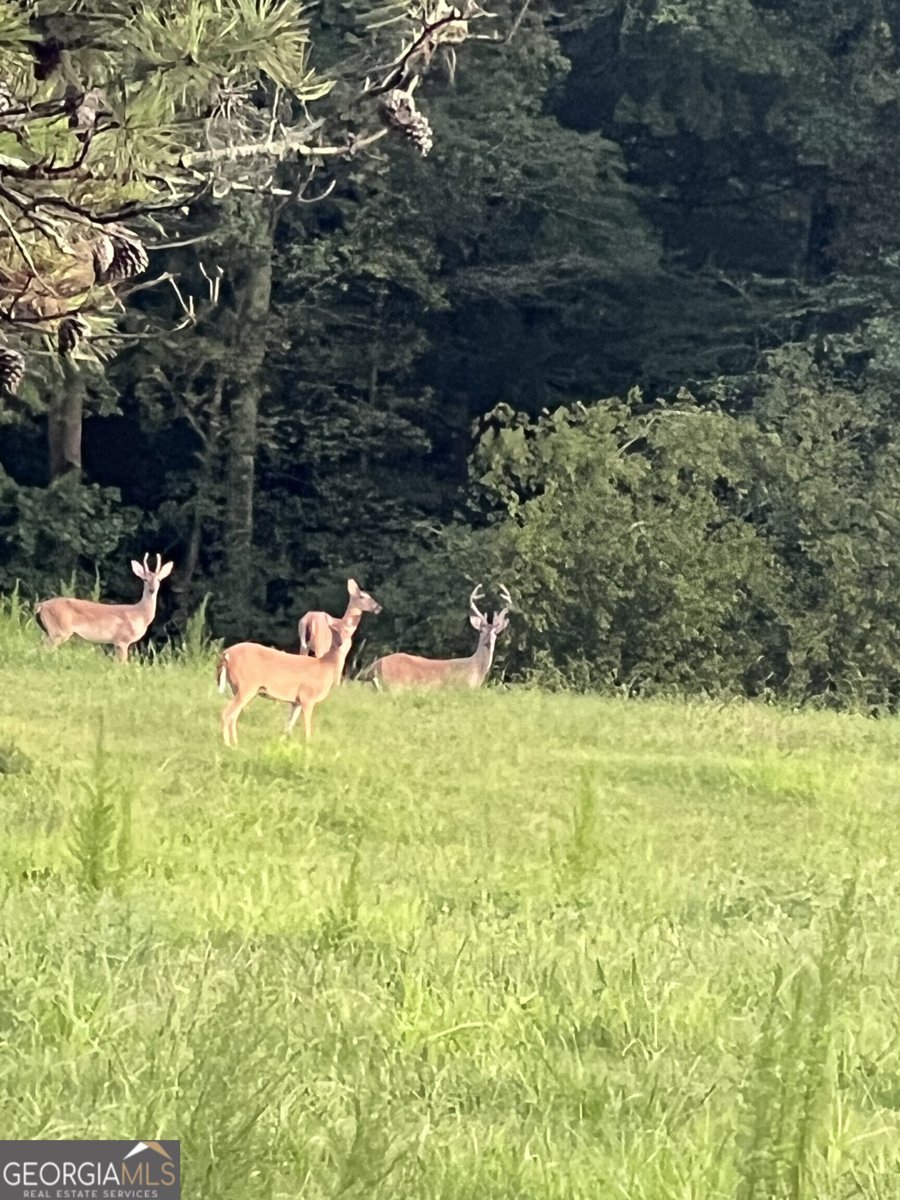 951 Canter Way Jefferson - Photo 95