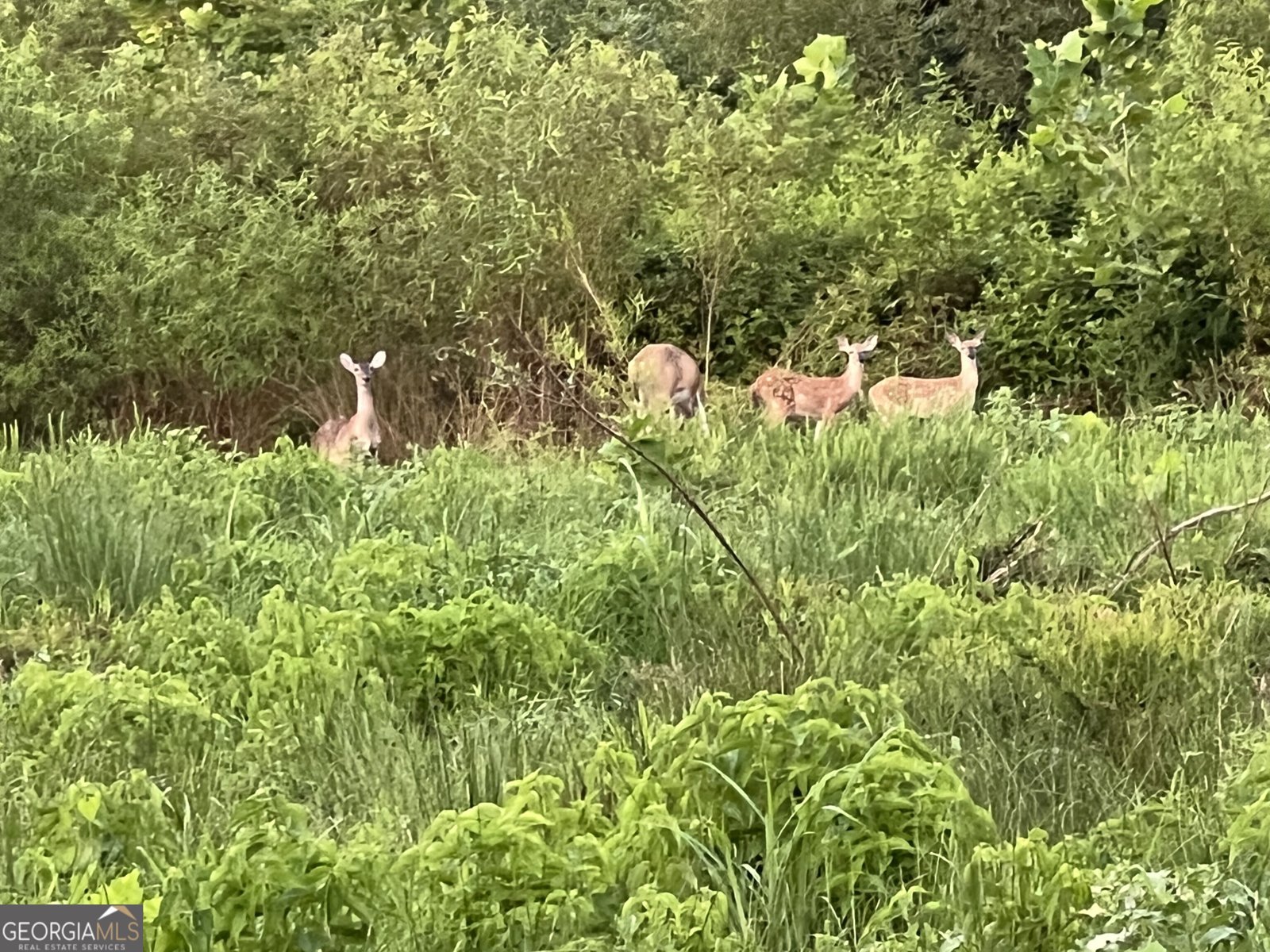 951 Canter Way Jefferson - Photo 96