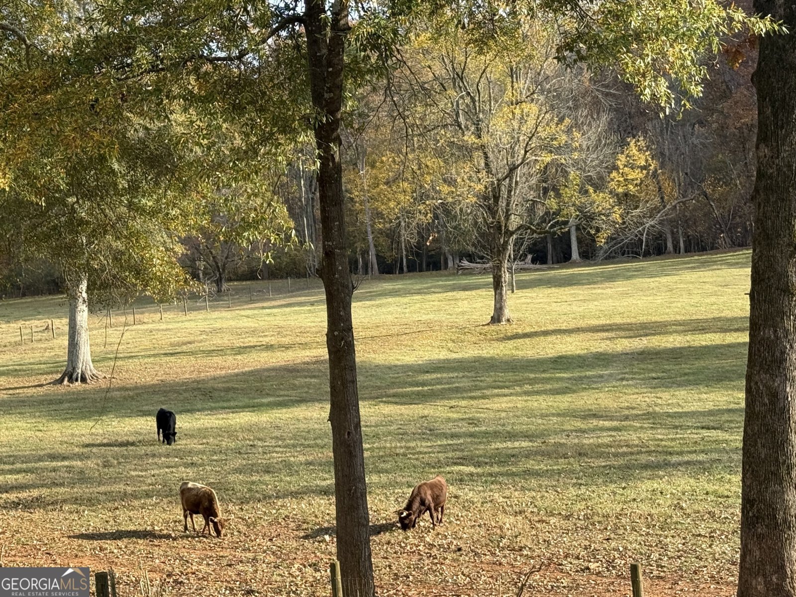 951 Canter Way Jefferson - Photo 97