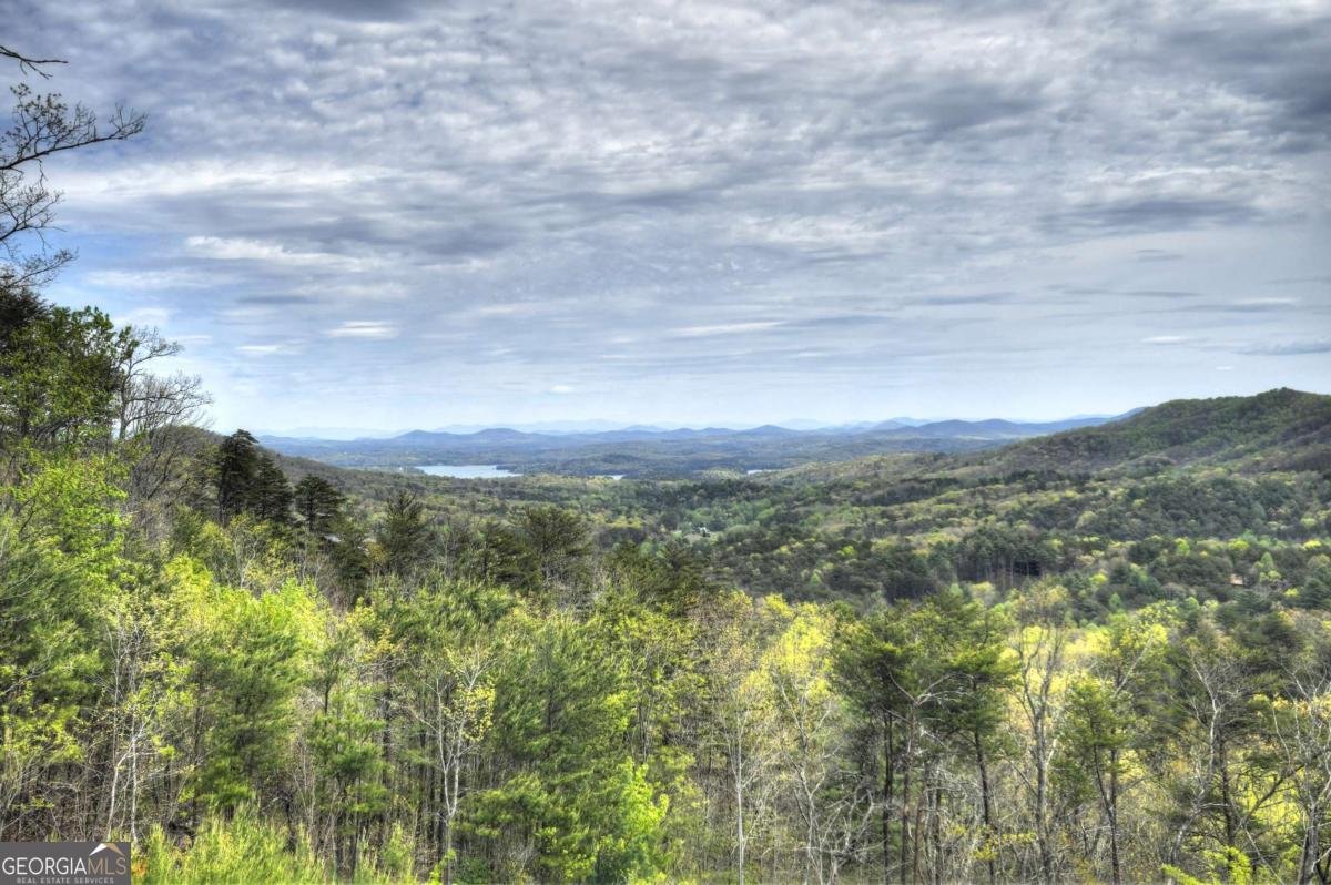 346 Spirit Mountain Road Blue Ridge - Photo 34