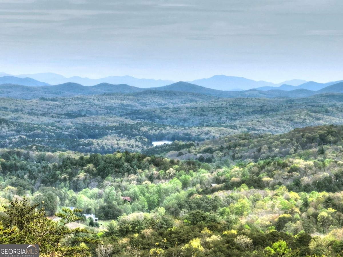 346 Spirit Mountain Road Blue Ridge - Photo 55