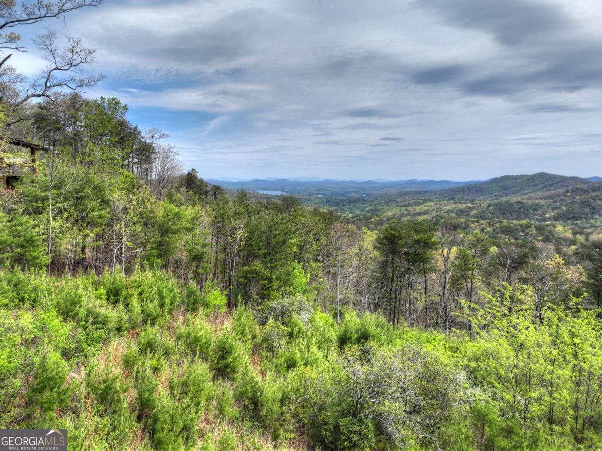 346 Spirit Mountain Road Blue Ridge - Photo 60