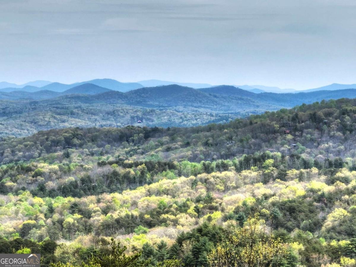 346 Spirit Mountain Road Blue Ridge - Photo 61