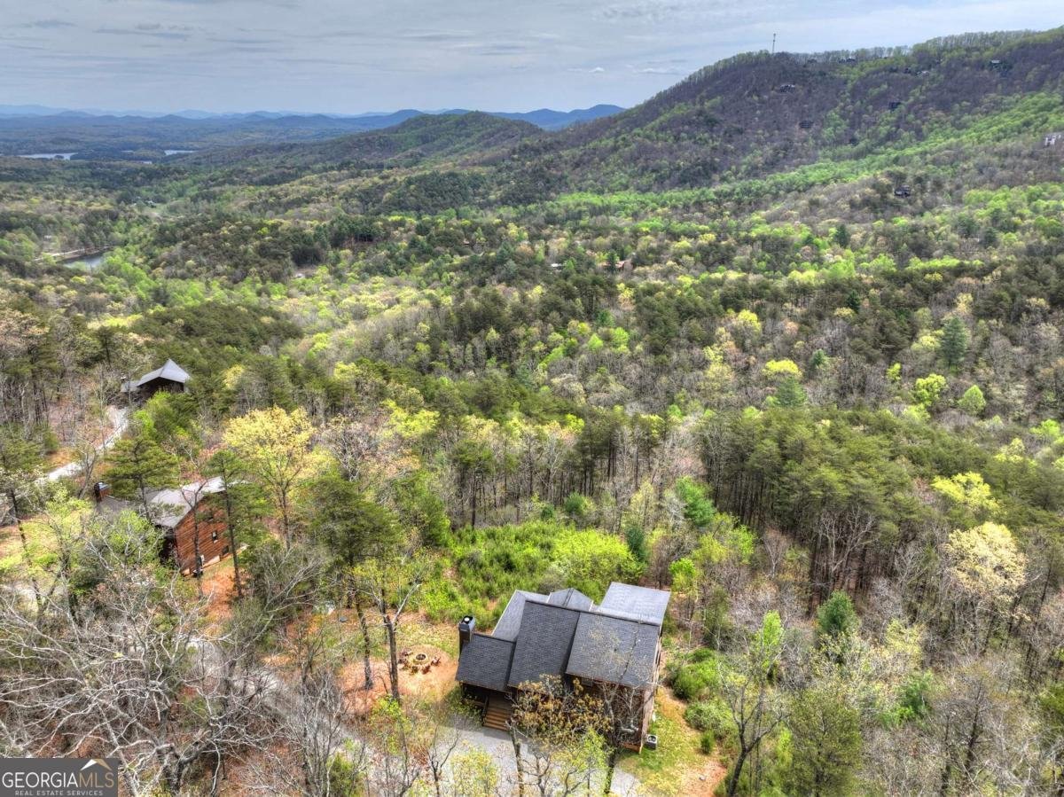 346 Spirit Mountain Road Blue Ridge - Photo 65