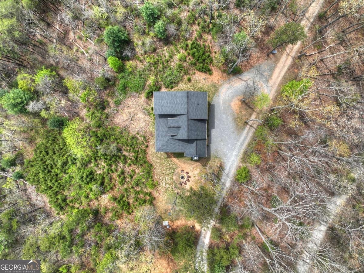 346 Spirit Mountain Road Blue Ridge - Photo 66