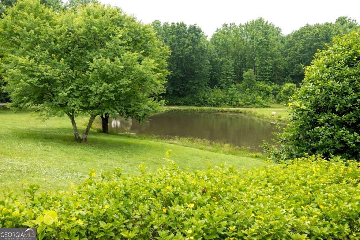 2100 Rays Church Road Bishop - Photo 29