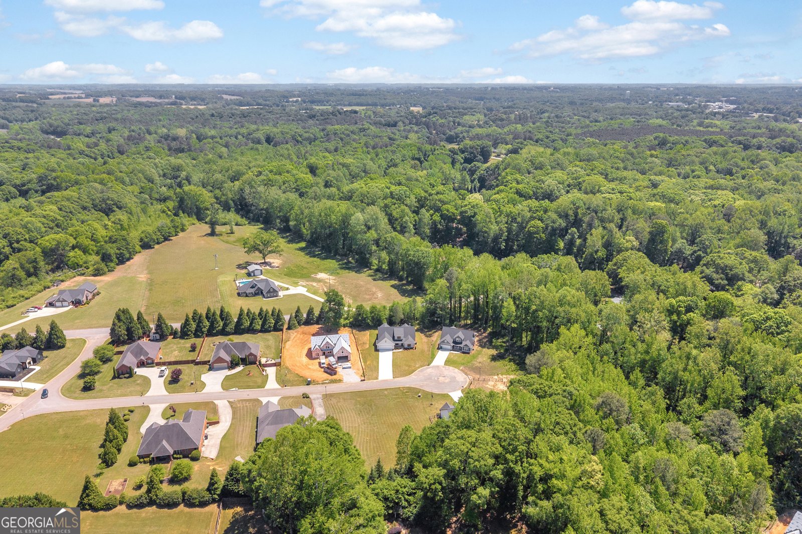 89 Huntington Drive Lavonia - Photo 67