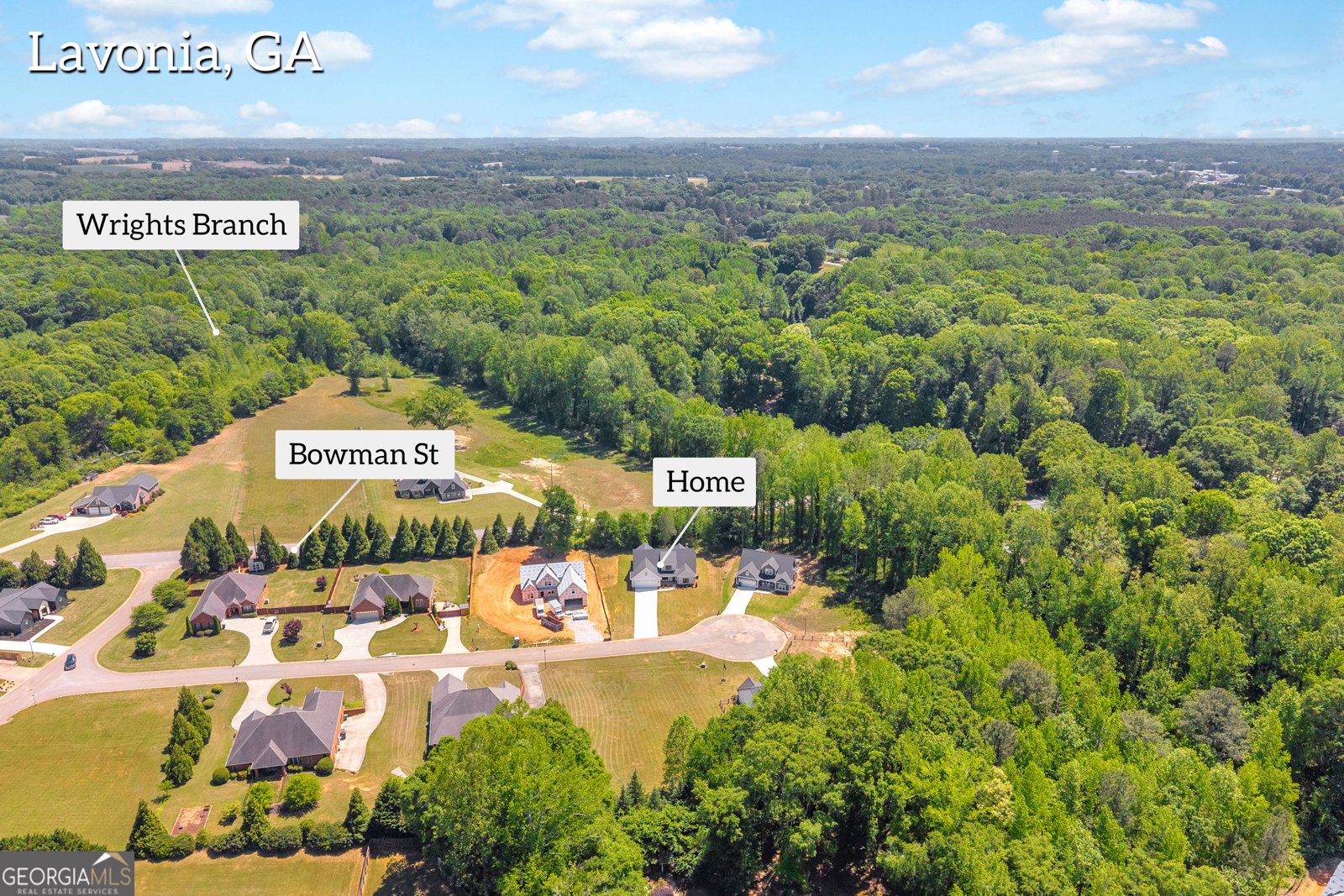 89 Huntington Drive Lavonia - Photo 68