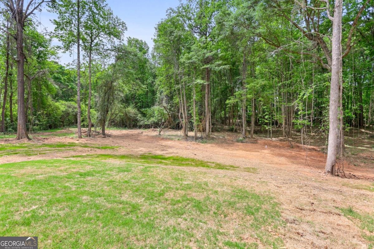 148 Lincoln Street Hogansville - Photo 15