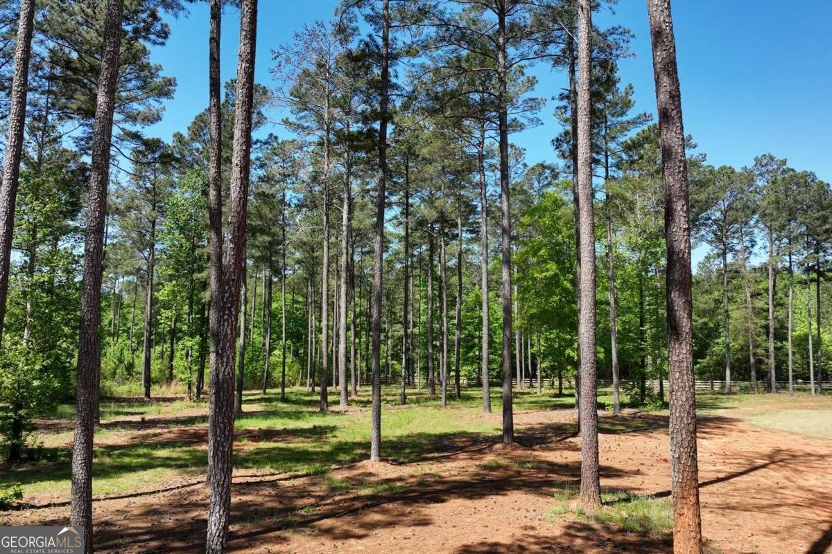 270 Indian Creek Road Good Hope - Photo 54