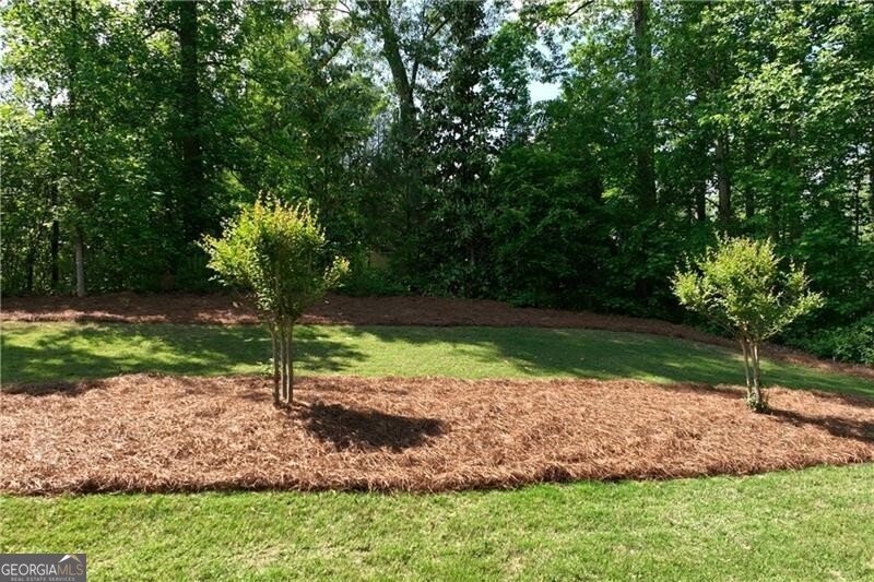 9450 Prestwick Club Drive Johns Creek - Photo 64