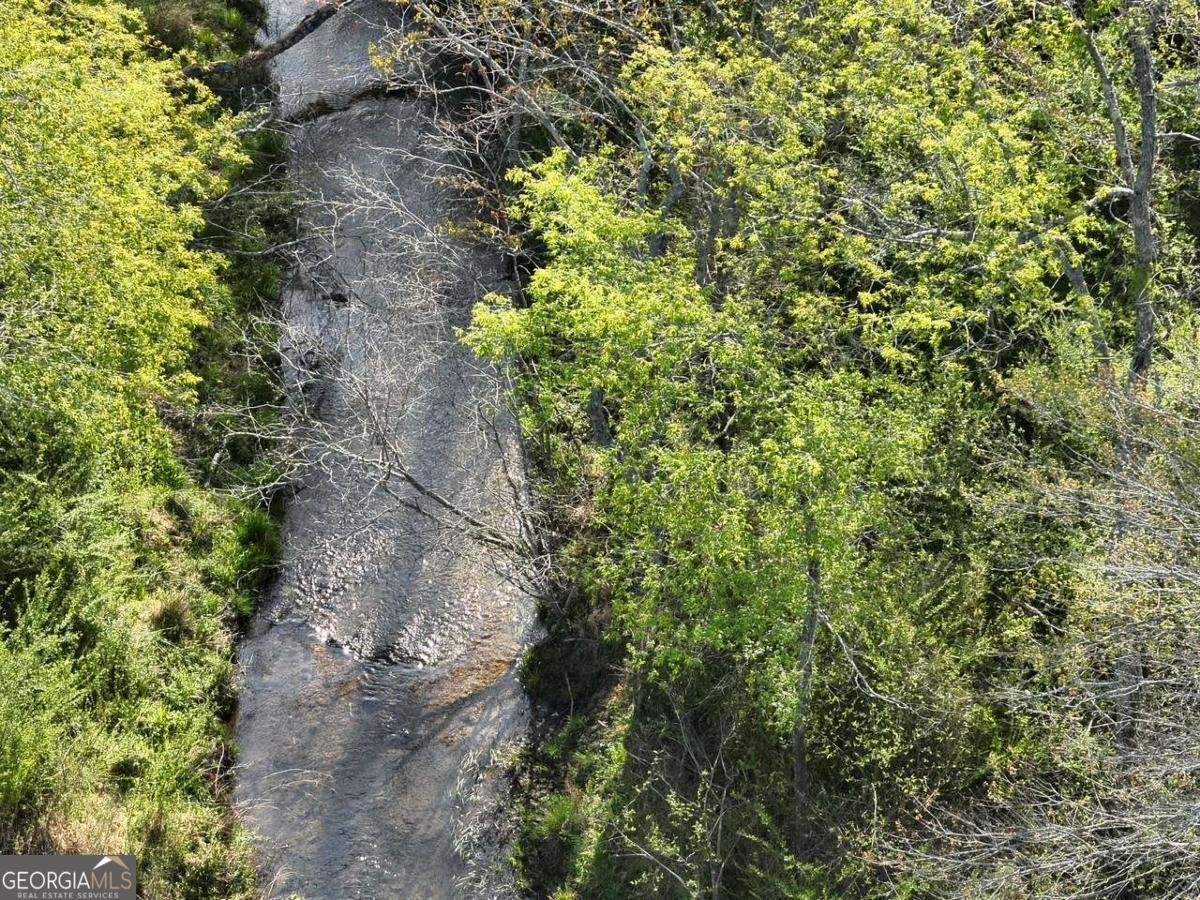 7590 Mobile Road Blue Ridge - Photo 73