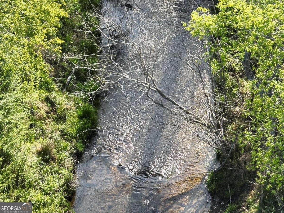 7590 Mobile Road Blue Ridge - Photo 74