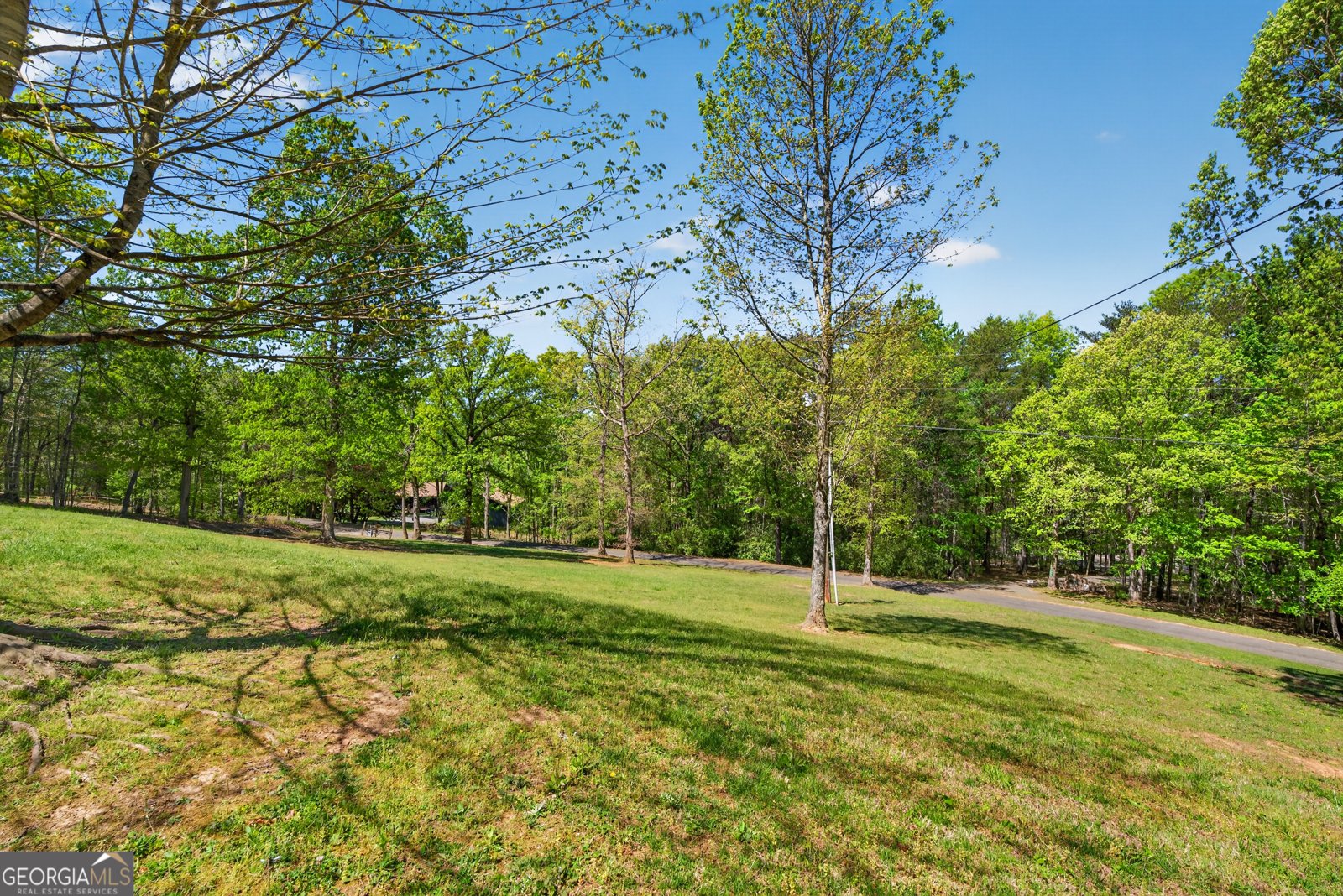 385 Shields Road Mineral Bluff - Photo 51