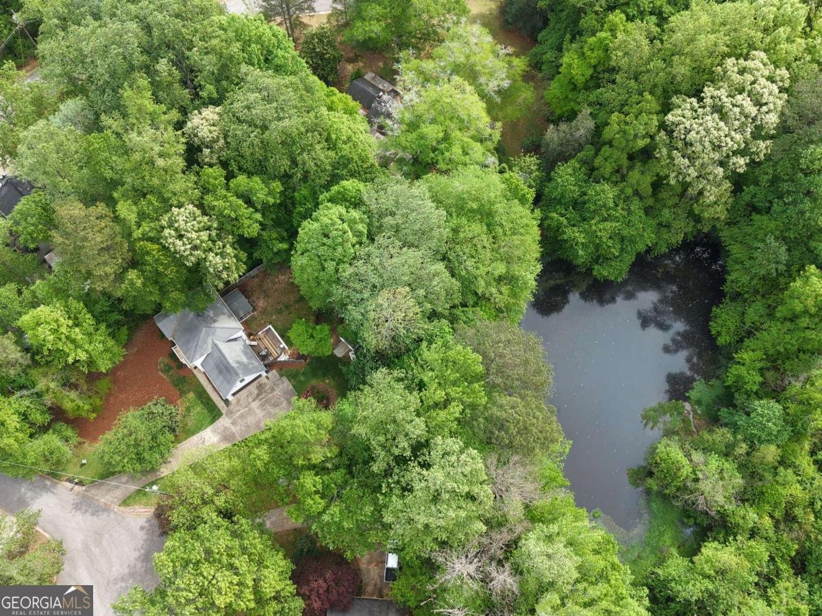 12 Indian Lake Court Hiram - Photo 39