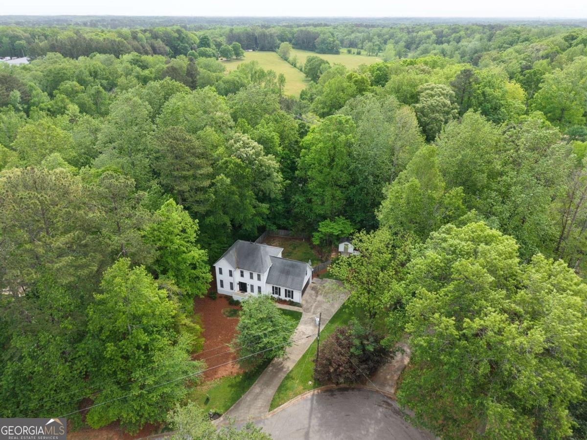 12 Indian Lake Court Hiram - Photo 42
