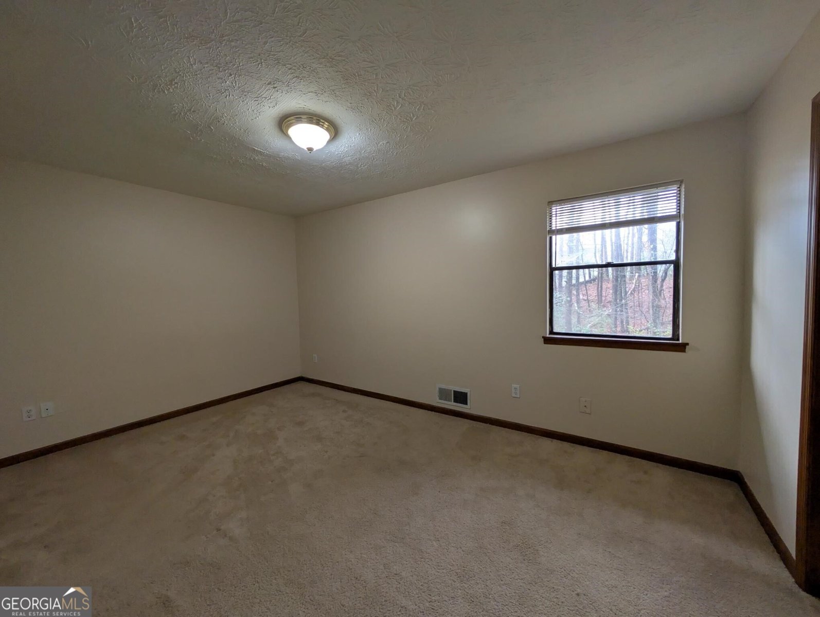 4341 Old Lake Drive Decatur - Photo 12