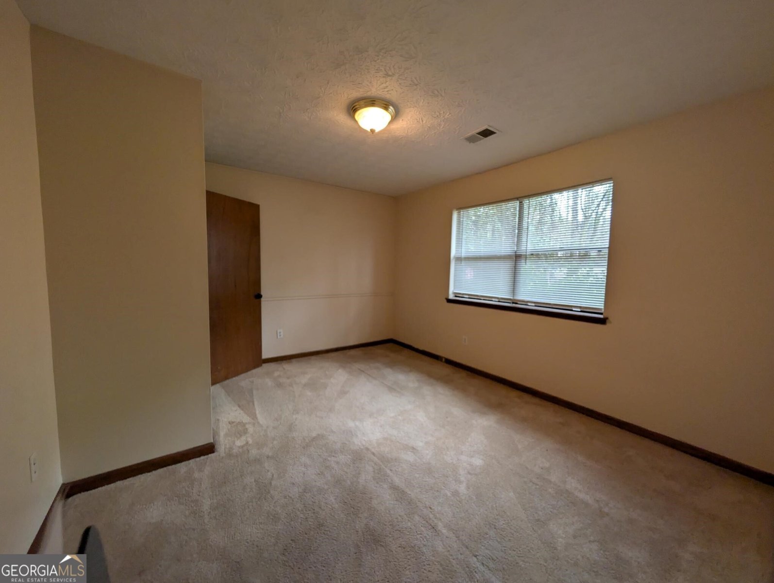 4341 Old Lake Drive Decatur - Photo 9