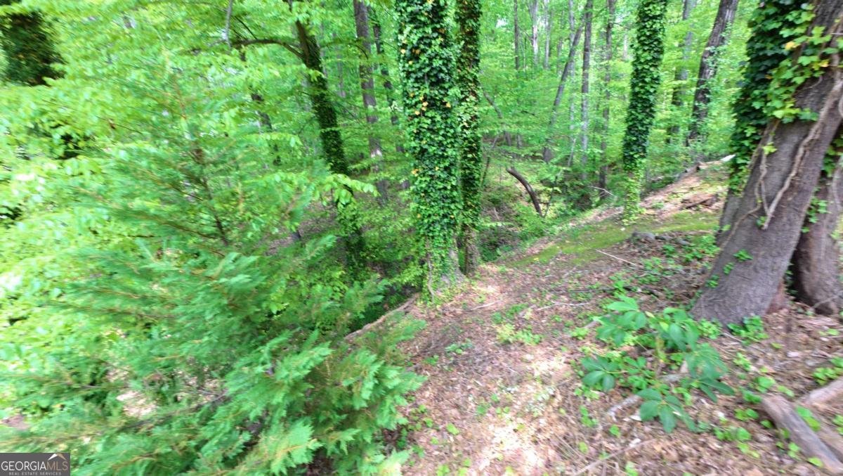 6351 Blackjack Road Flowery Branch - Photo 24