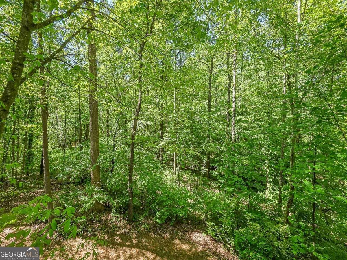 4025 Halisport View Kennesaw - Photo 51