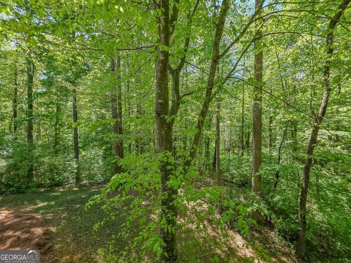 4025 Halisport View Kennesaw - Photo 52