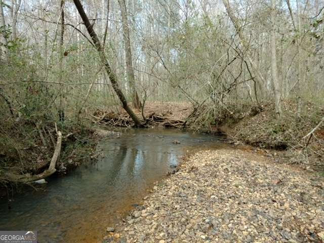 4025 Halisport View Kennesaw - Photo 53