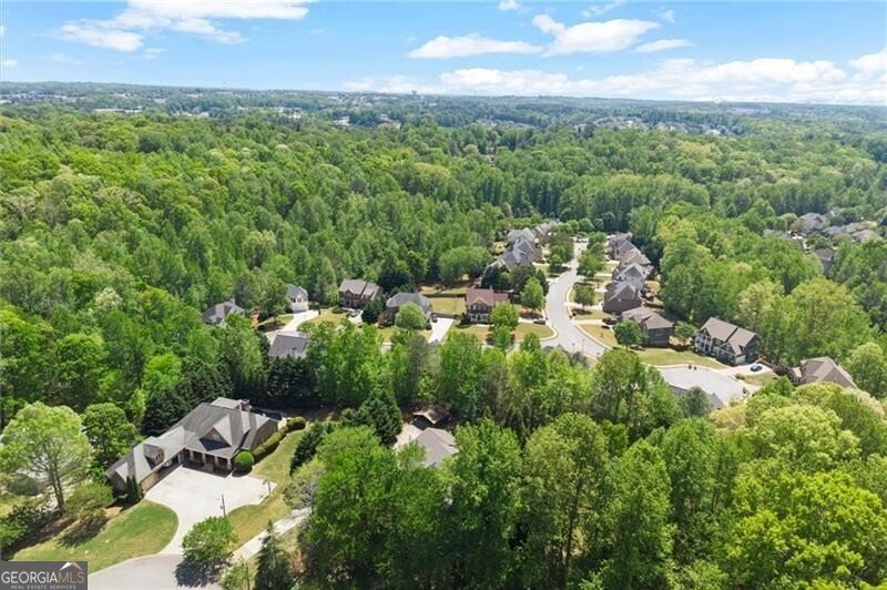 212 Hickory Oak Hollow Cumming - Photo 43