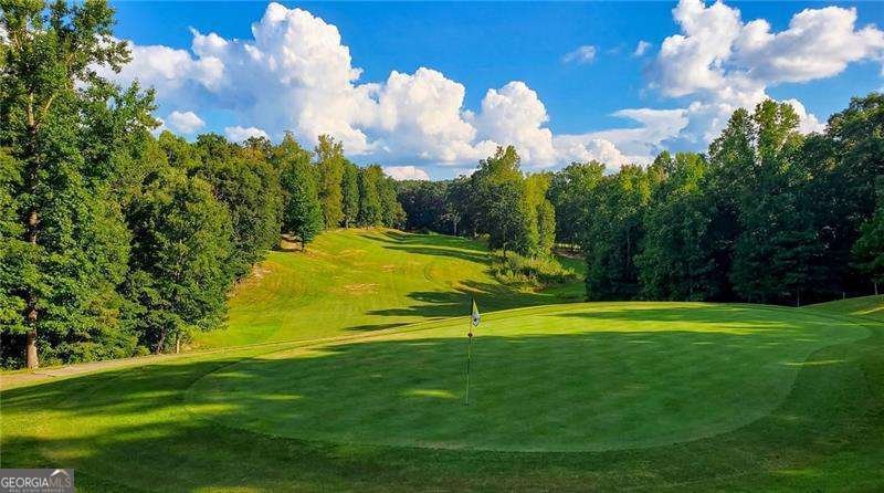 39 Sweet Rose Court Newnan - Photo 19