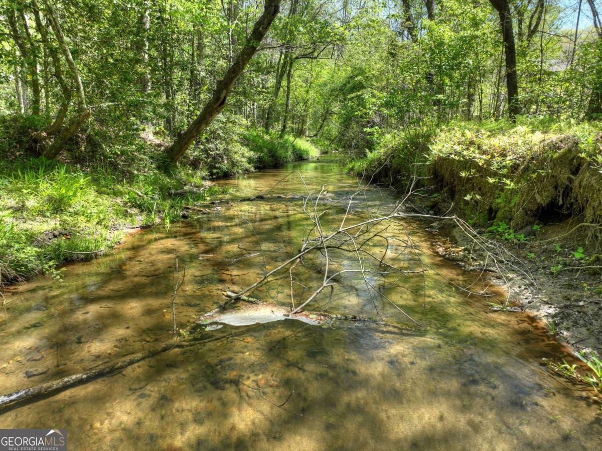 76 Bevan Lane Blue Ridge - Photo 26