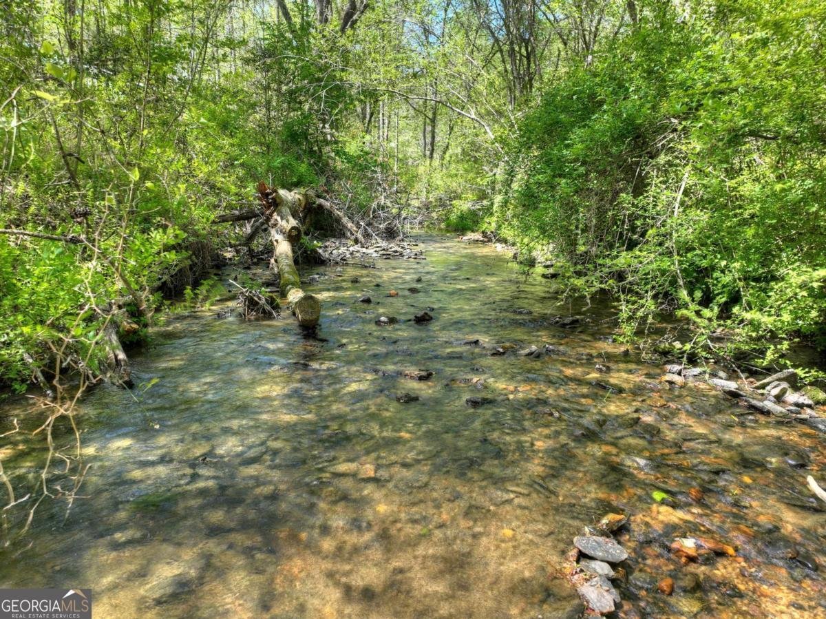 76 Bevan Lane Blue Ridge - Photo 27