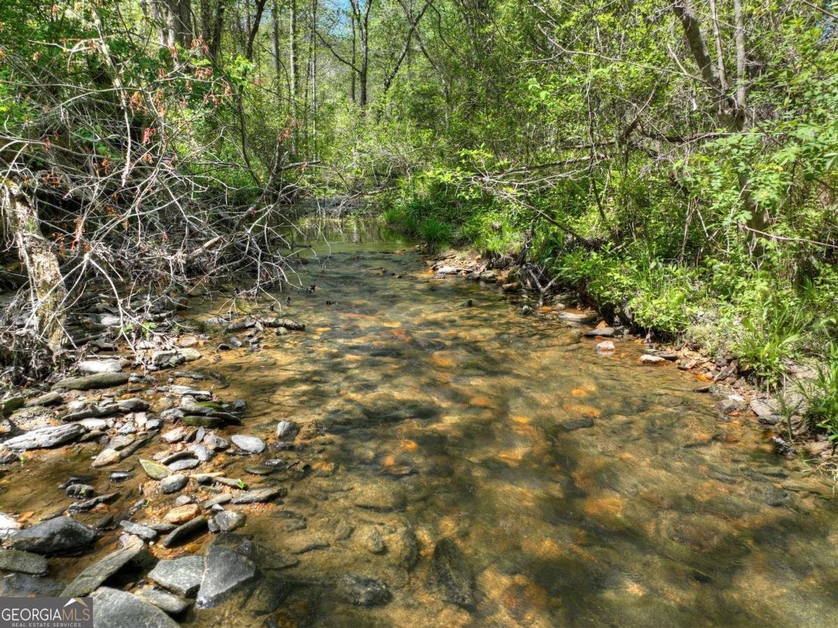 76 Bevan Lane Blue Ridge - Photo 48