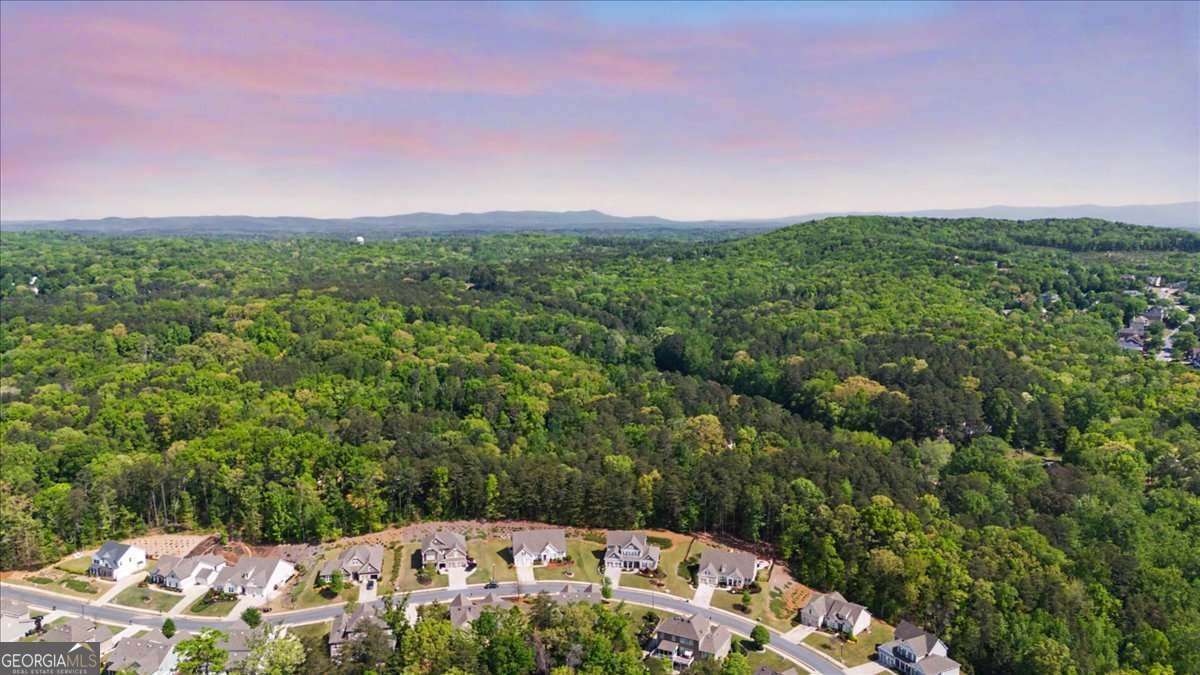 131 Longleaf Drive Canton - Photo 53