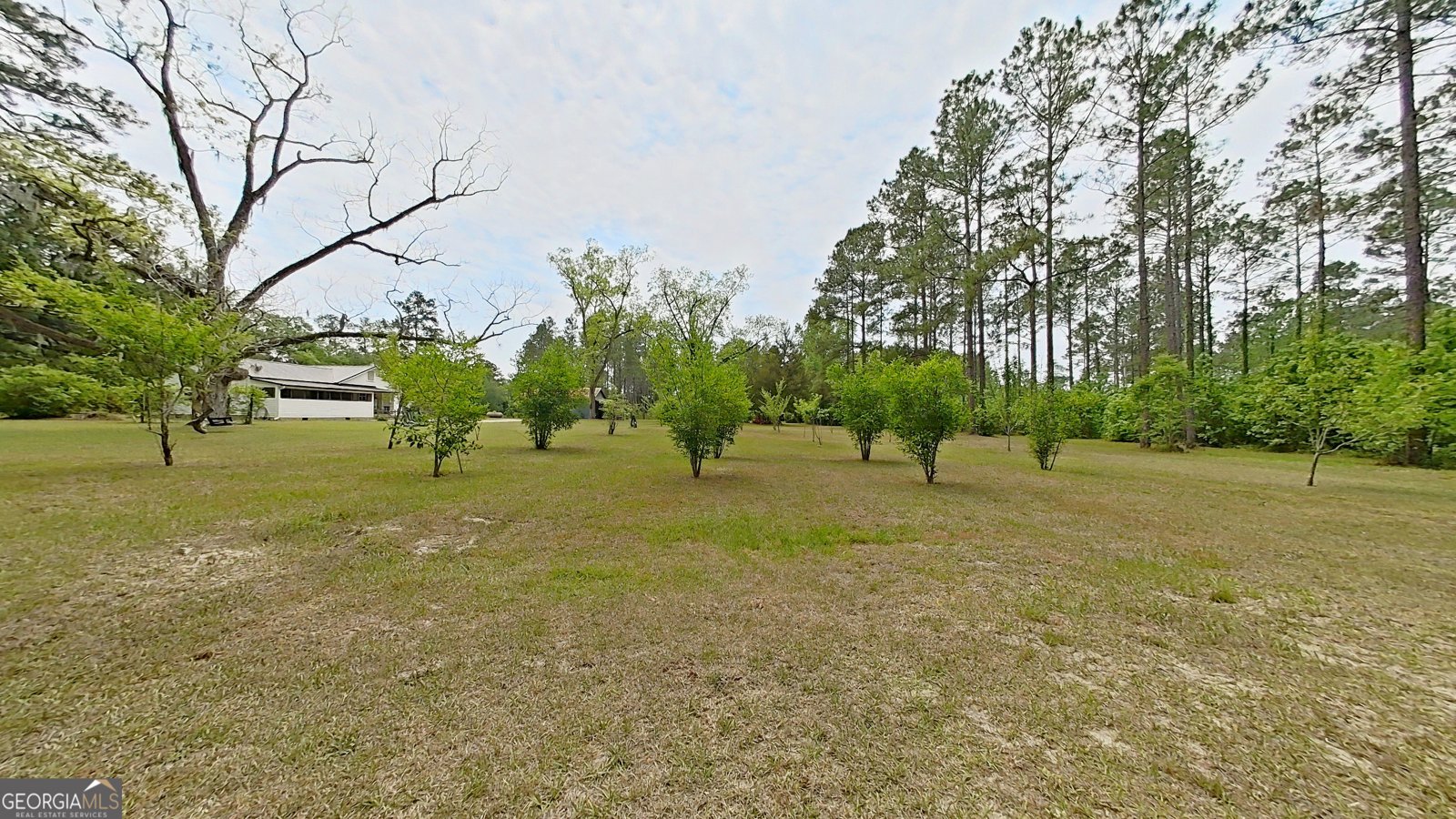 2650 Hadley Ferry Road Cairo - Photo 41