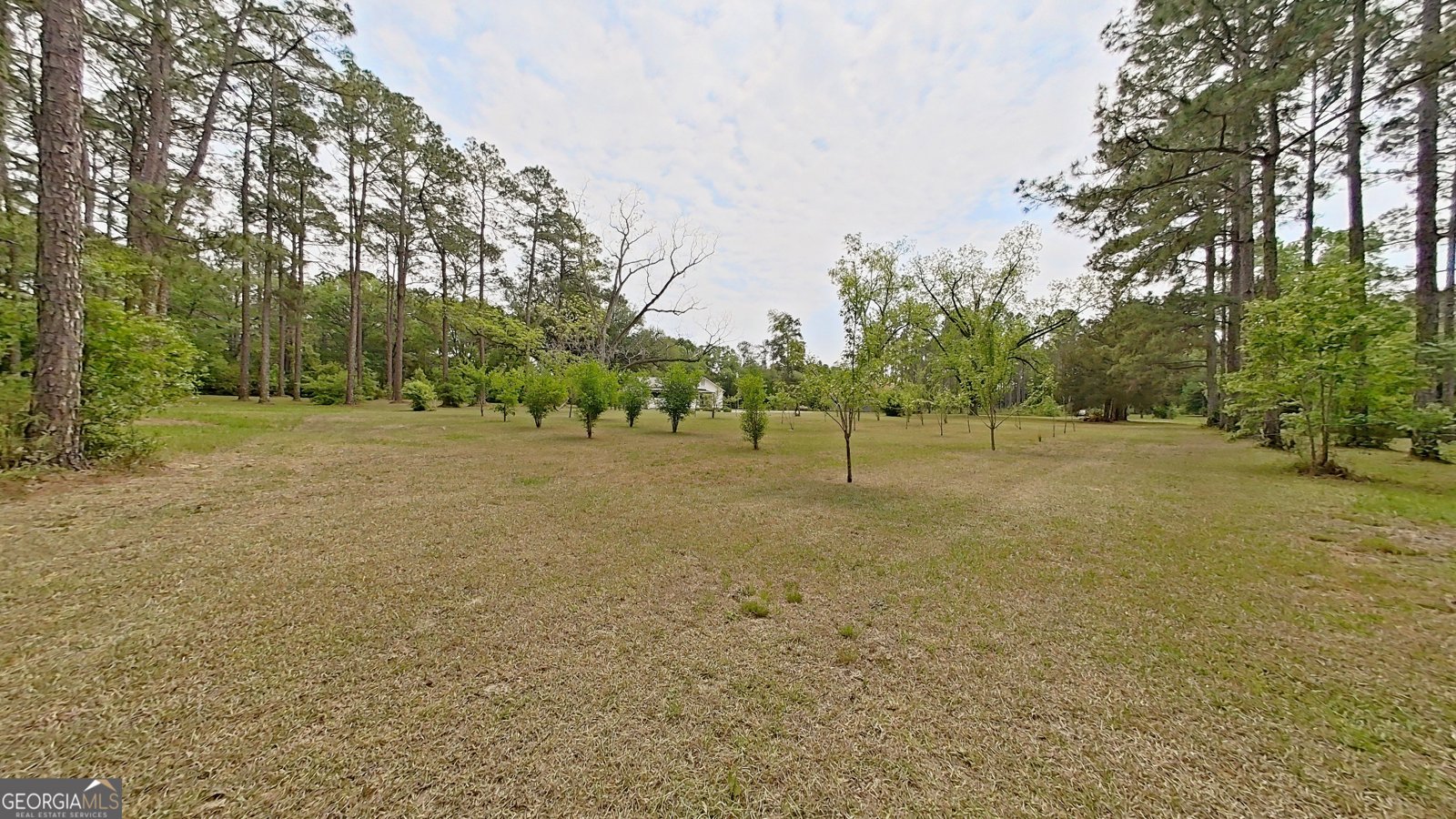 2650 Hadley Ferry Road Cairo - Photo 42