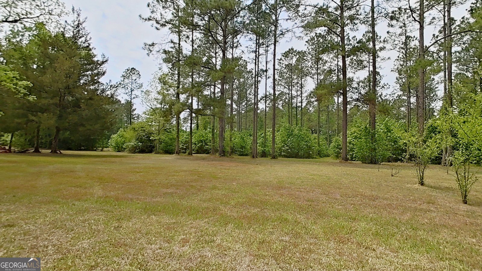 2650 Hadley Ferry Road Cairo - Photo 46
