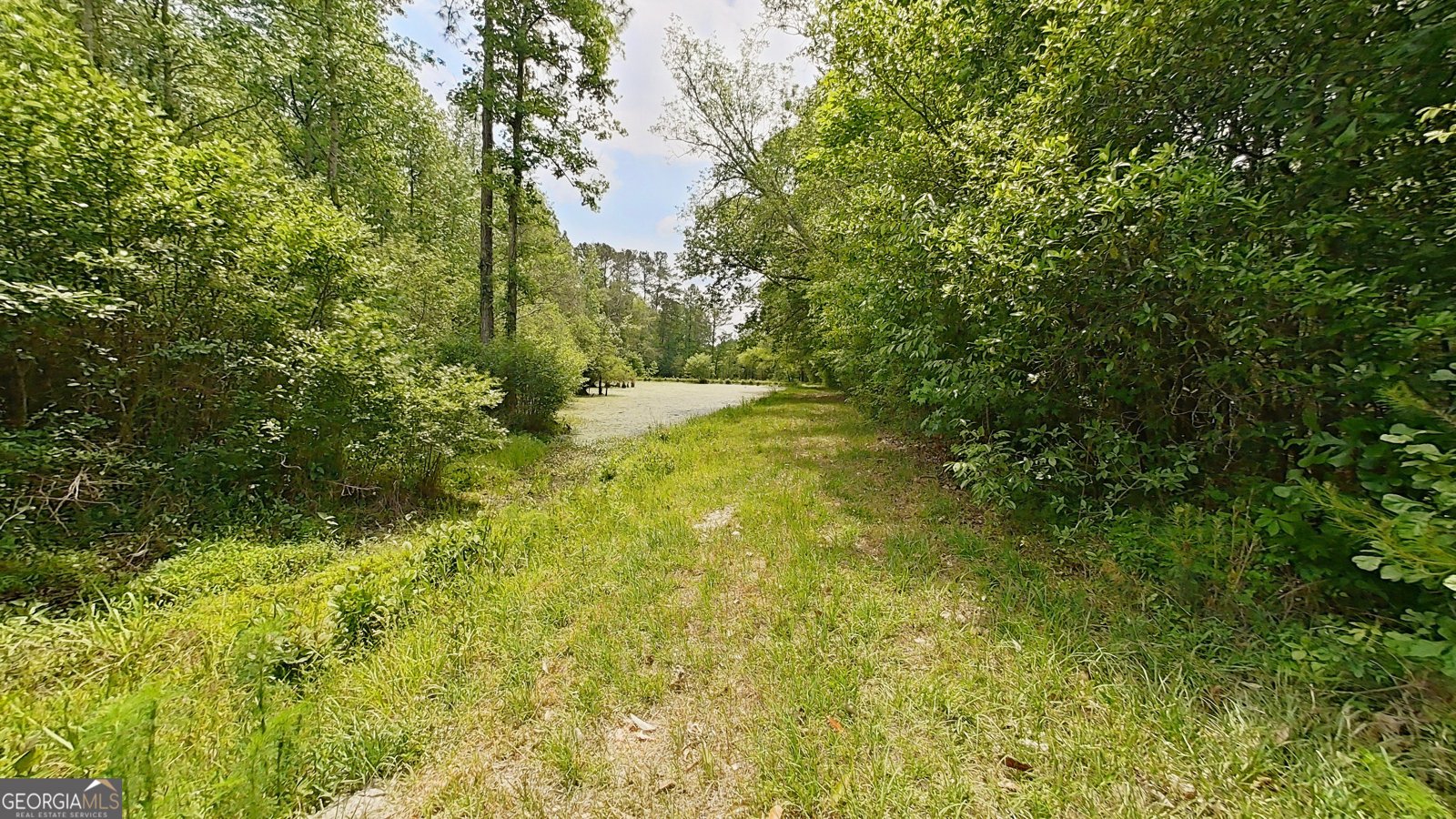 2650 Hadley Ferry Road Cairo - Photo 67