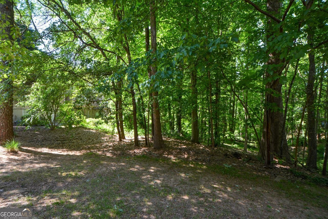 6142 Deluna Way Duluth - Photo 40