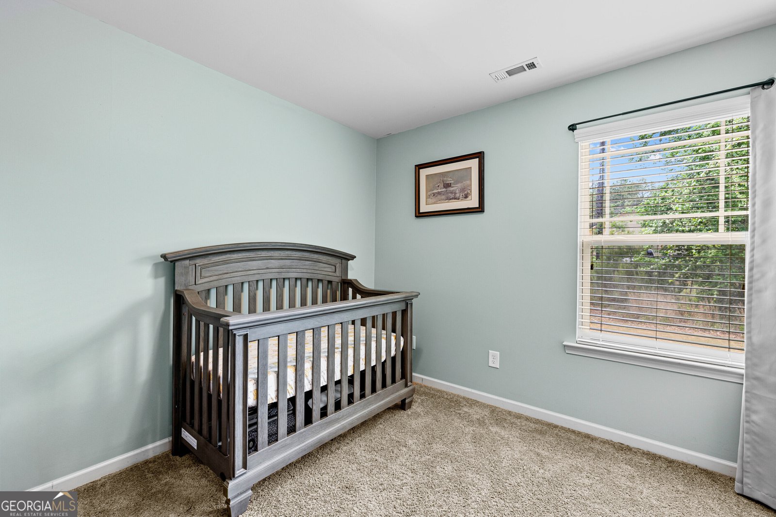 110 Brook Run Senoia - Photo 20