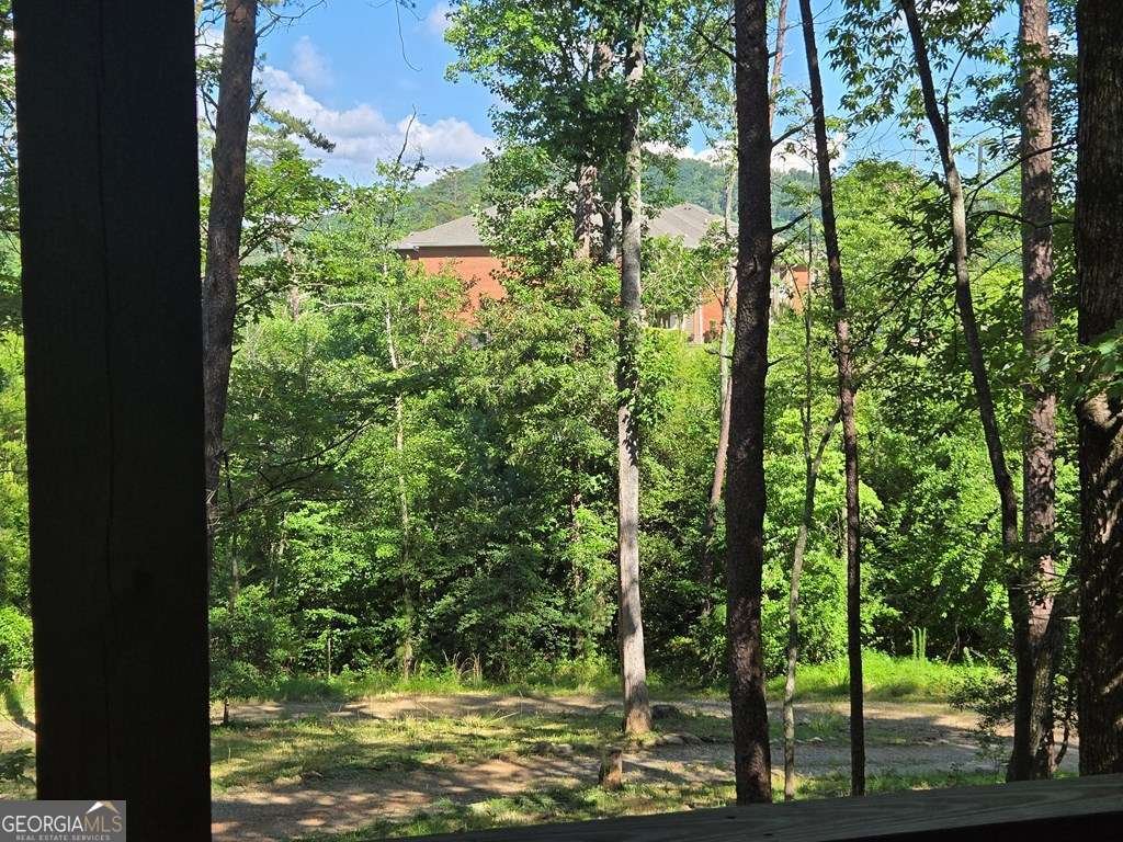 27 Williams Circle Blairsville - Photo 35