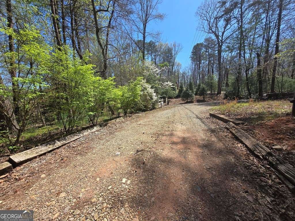 27 Williams Circle Blairsville - Photo 39