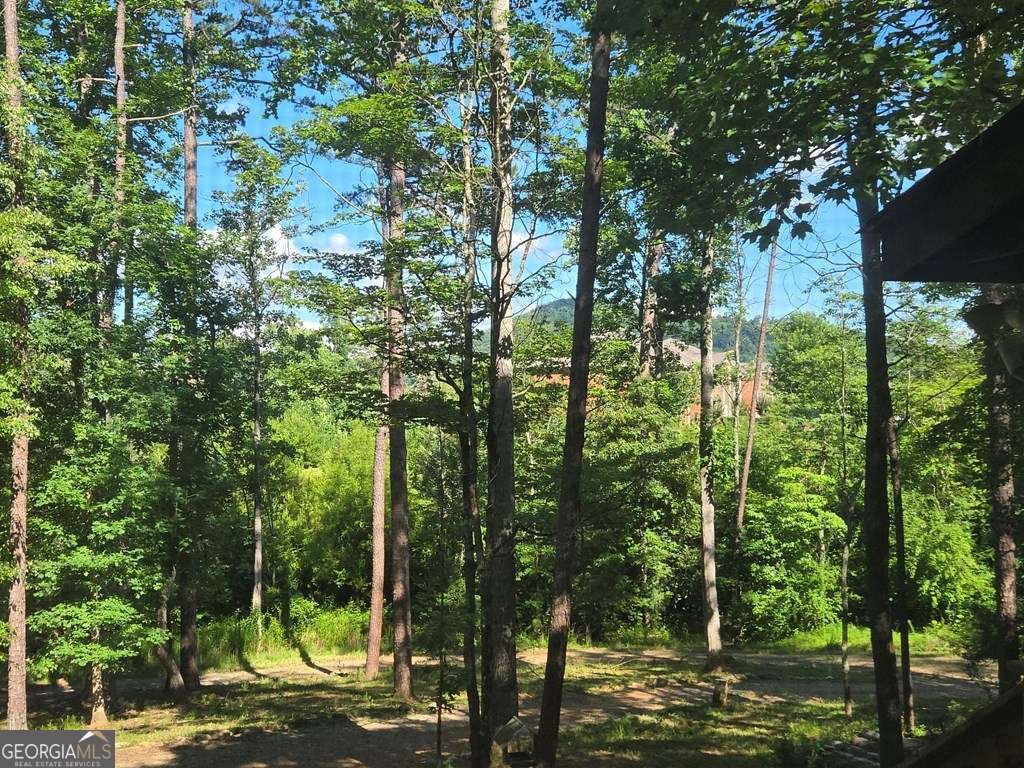 27 Williams Circle Blairsville - Photo 40