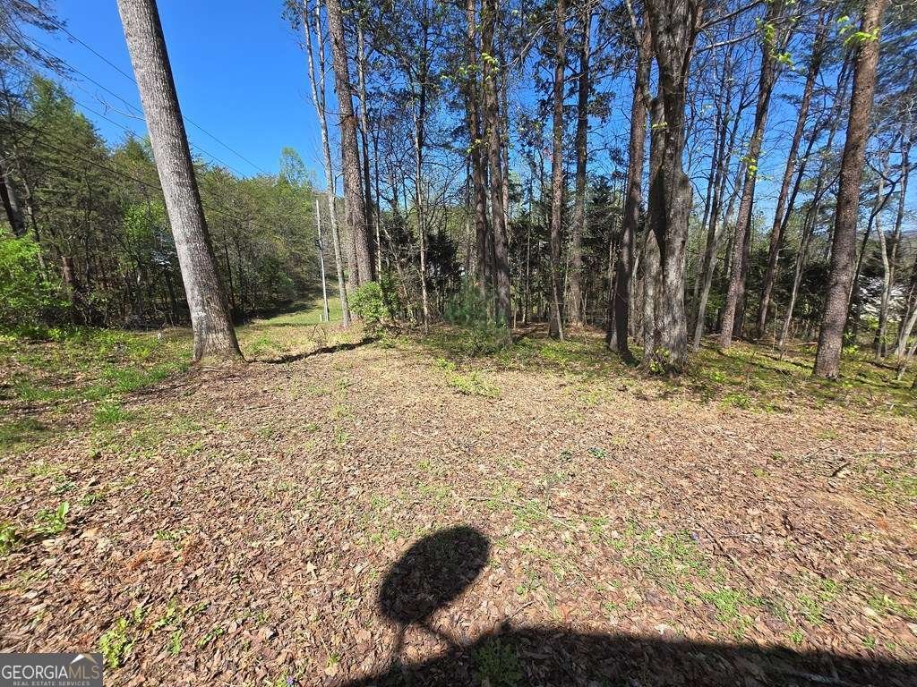 27 Williams Circle Blairsville - Photo 42