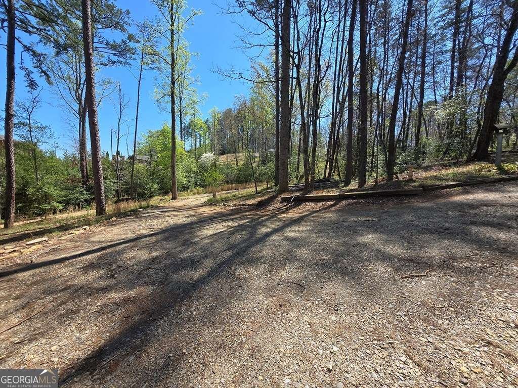 27 Williams Circle Blairsville - Photo 43