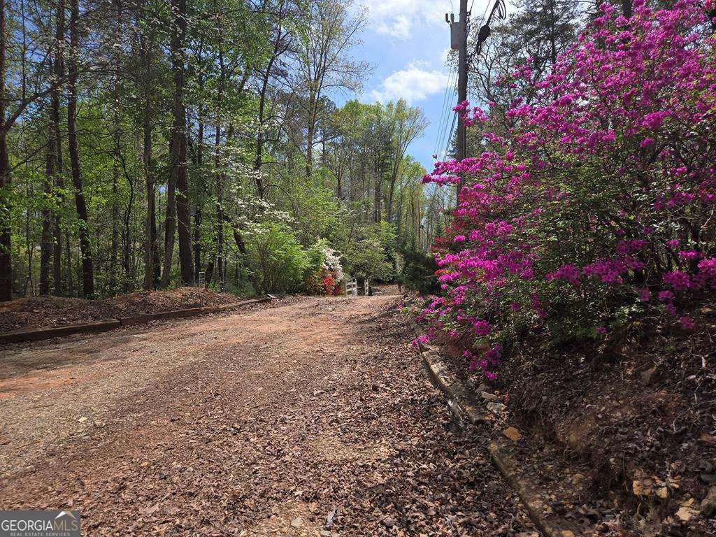 27 Williams Circle Blairsville - Photo 44