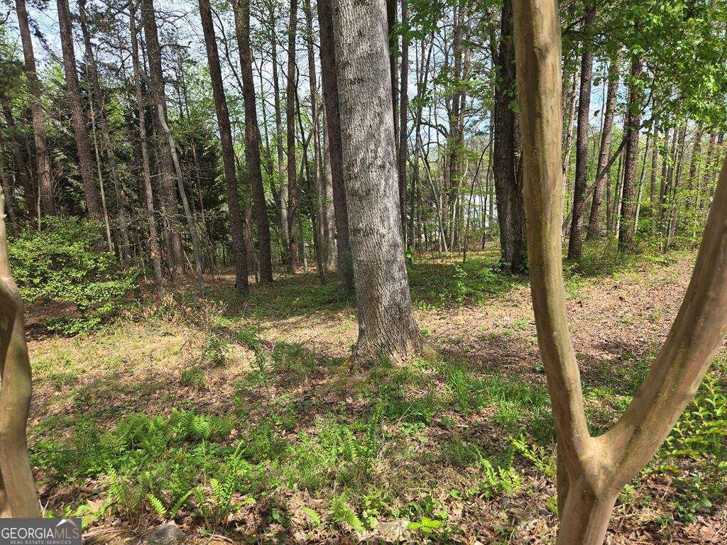 27 Williams Circle Blairsville - Photo 45