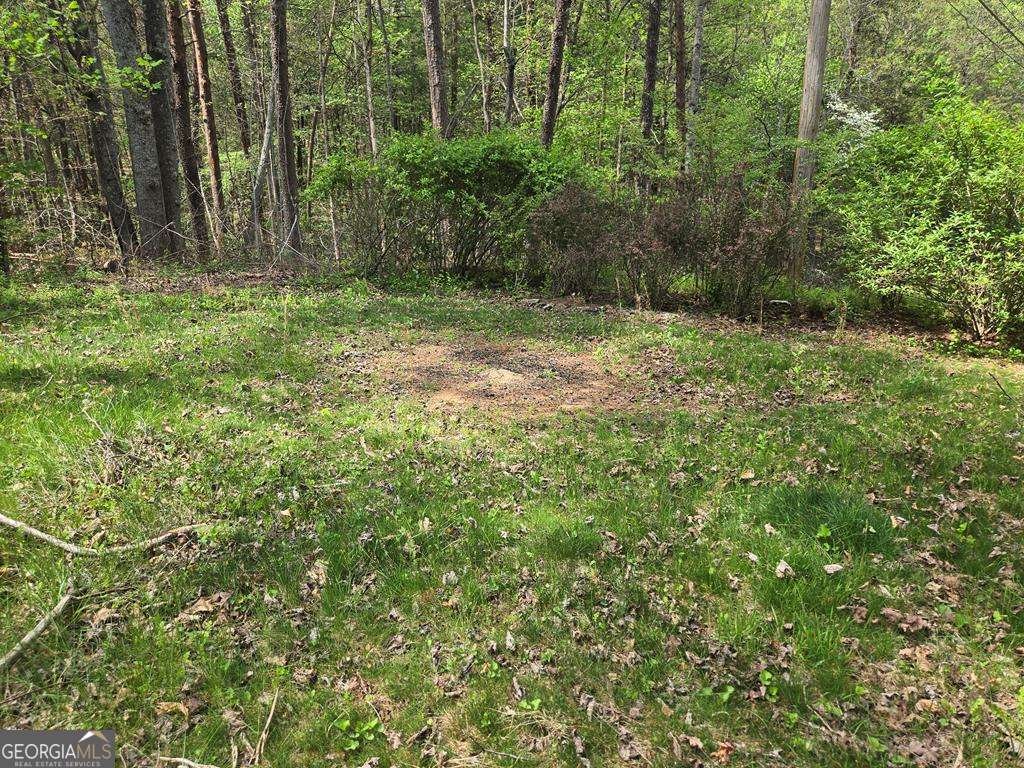 27 Williams Circle Blairsville - Photo 46